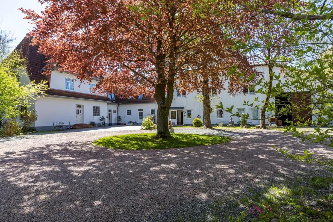 Denkerhof Ferienwohnung Deichblick Reussenkoge Exterior photo
